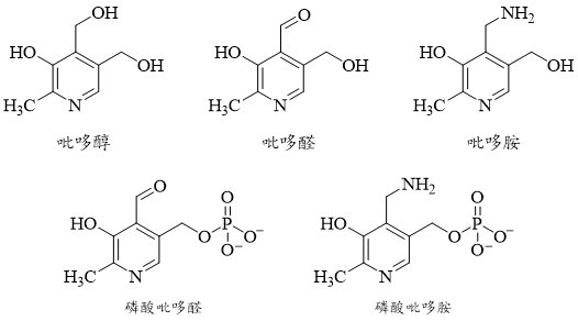 维生素B₆的结构